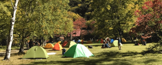 土木造成・造園の画像